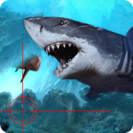 Angry Shark Sniper 3D(饥饿的鲨鱼狙击手3D无限金币版)v1.1.7最新版