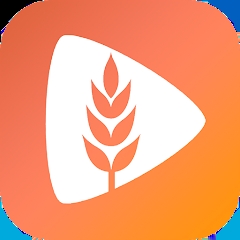 麦芽短剧app2.10.20安卓版