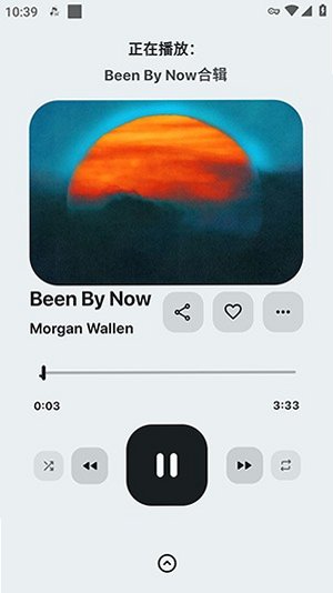 AvidTune开源音乐app1.4.0-beta2安卓版截图2