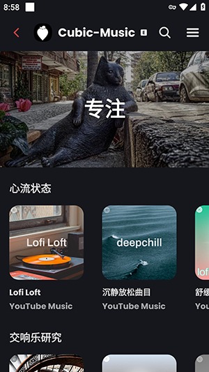 CubicMusic安卓纯净无广告版
